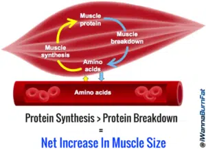 How sleep helps build new muscle tissue