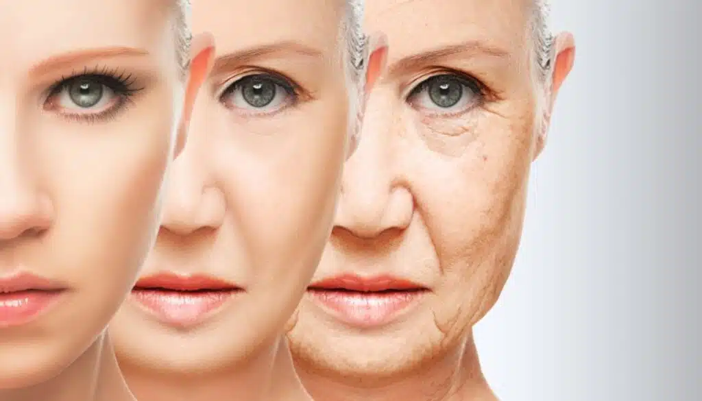 How stress increases the aging process