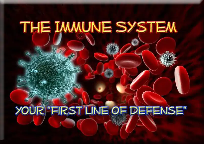 How stress affects the immune system