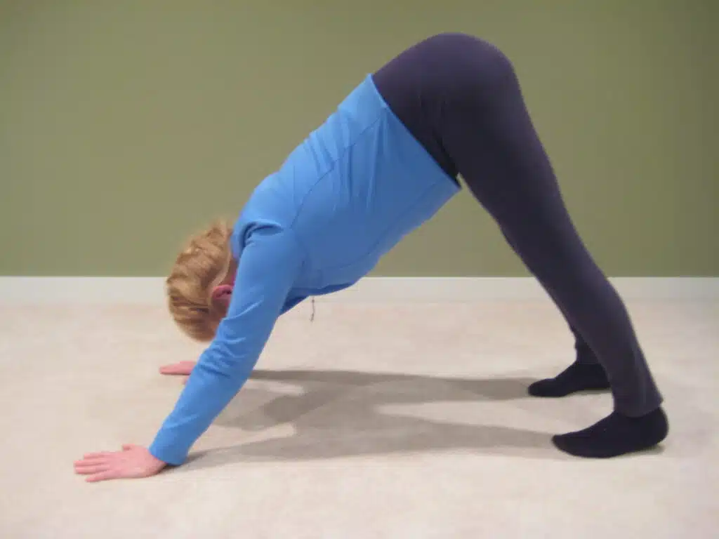 The downward-dog yoga pose