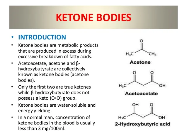 Picture explaining the production of ketone bodies