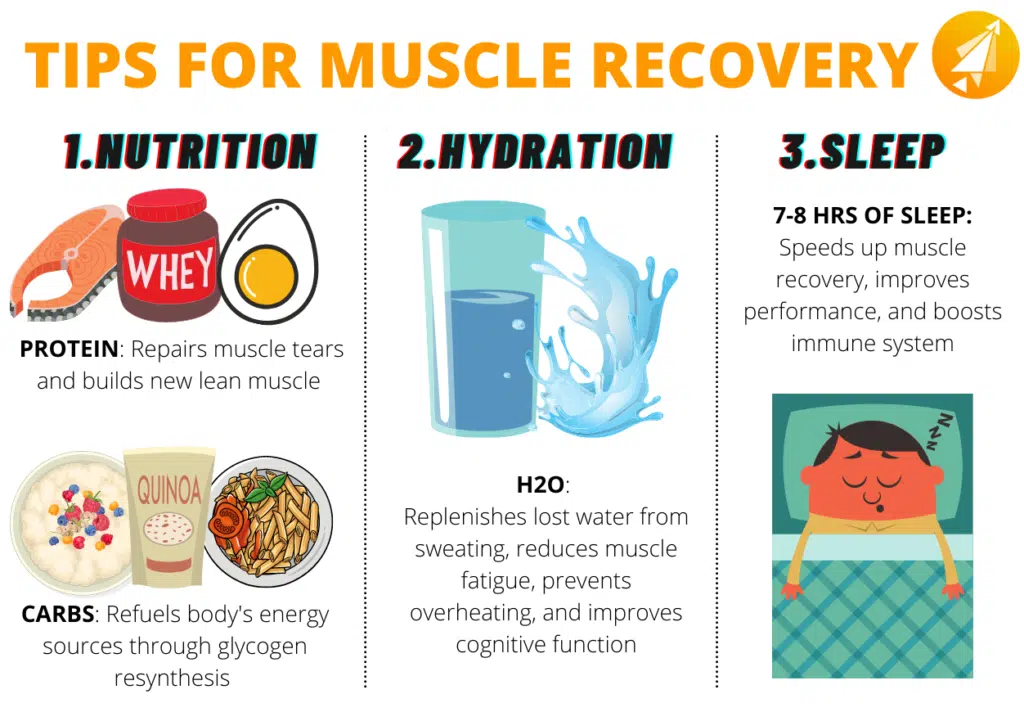 carbs and protein are both crucial for muscle recovery