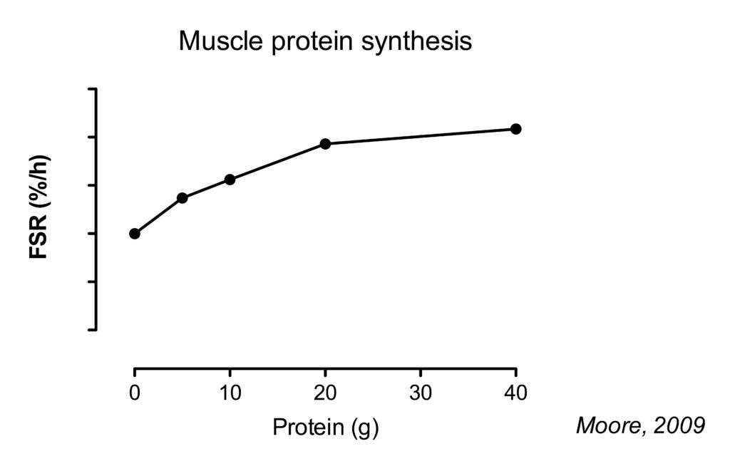 a chart showing how a higher protein intake up to a certain point post workout increases muscle protein synthesis