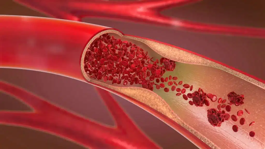 an image of blood circulating through the body