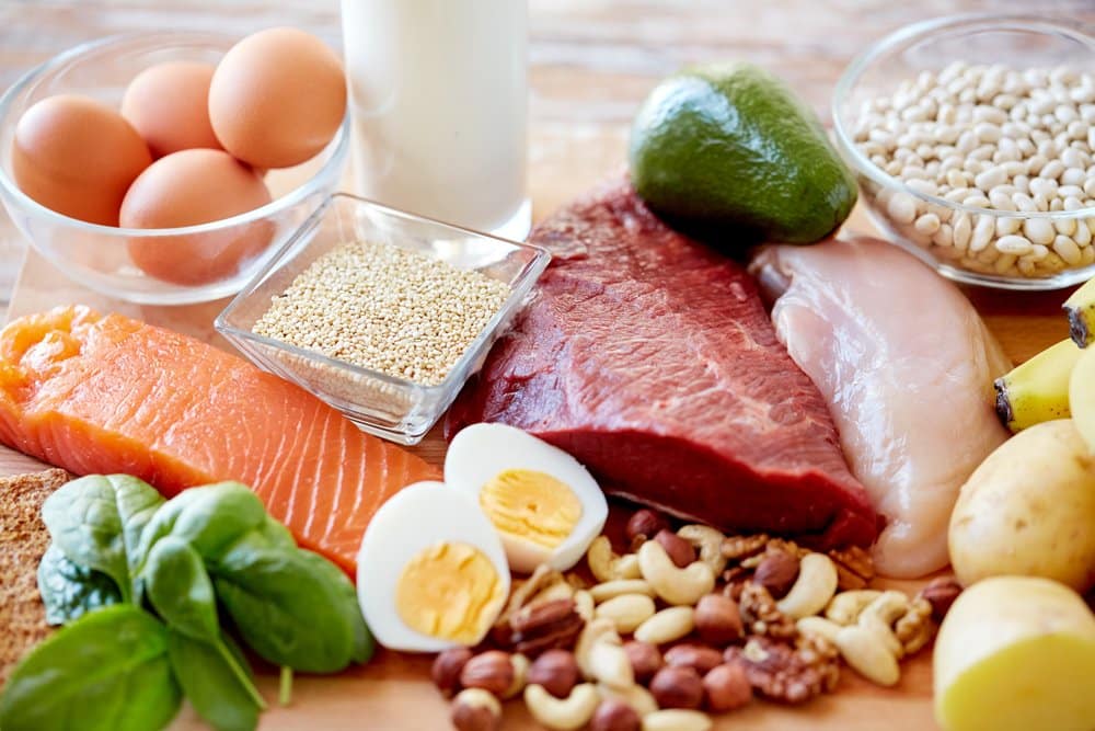 high protein sources