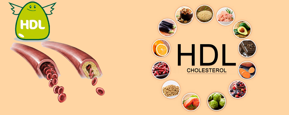 eating a whole foods diet will greatly help aid in healthy HDL levels
